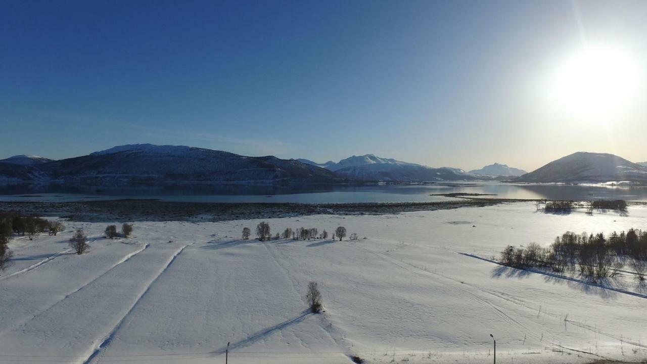 1 Room In The Yellow House, Close To Airport & Lofoten Evenskjer Extérieur photo