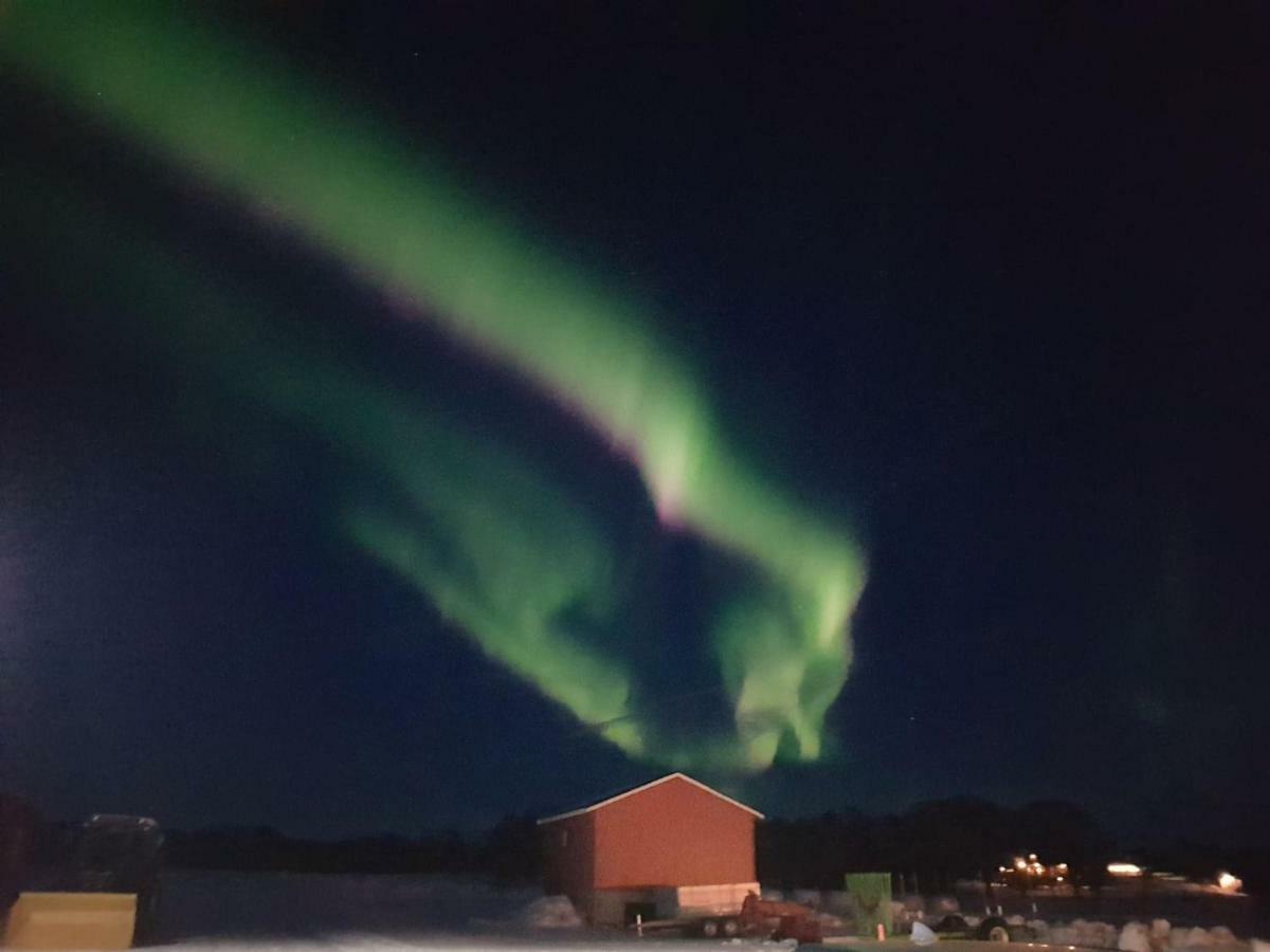 1 Room In The Yellow House, Close To Airport & Lofoten Evenskjer Extérieur photo