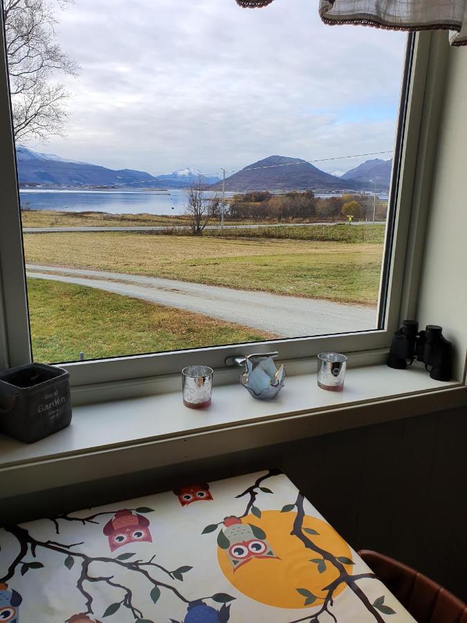 1 Room In The Yellow House, Close To Airport & Lofoten Evenskjer Extérieur photo