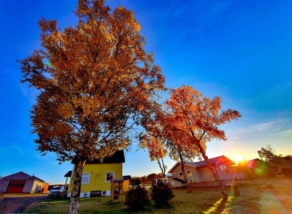 1 Room In The Yellow House, Close To Airport & Lofoten Evenskjer Extérieur photo