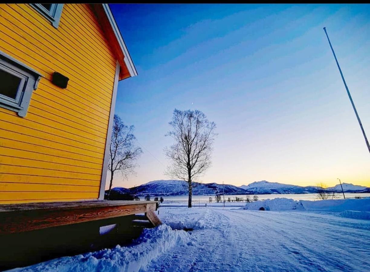 1 Room In The Yellow House, Close To Airport & Lofoten Evenskjer Extérieur photo